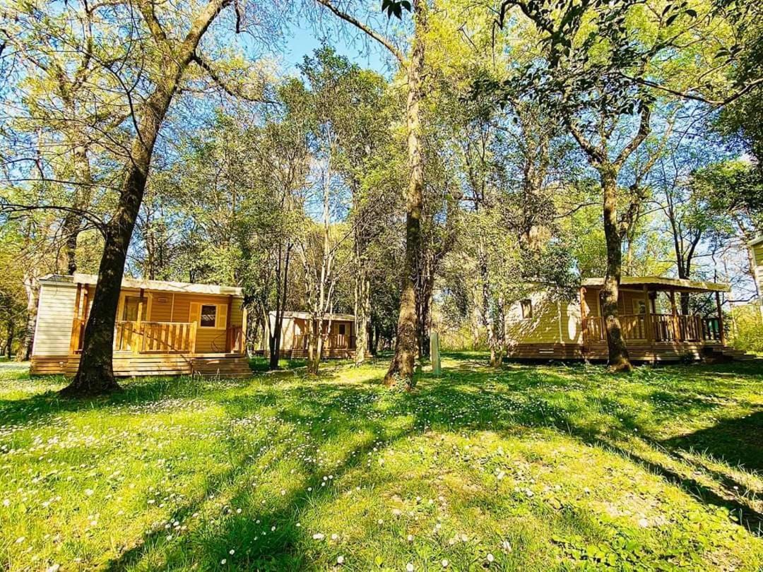 Camping Du Lion Bourg-Saint-Andéol Exterior foto
