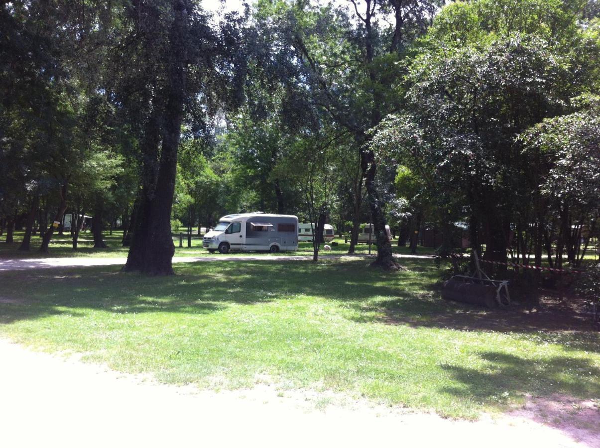 Camping Du Lion Bourg-Saint-Andéol Exterior foto
