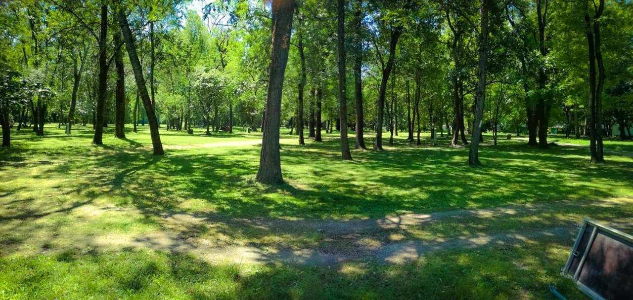 Camping Du Lion Bourg-Saint-Andéol Exterior foto